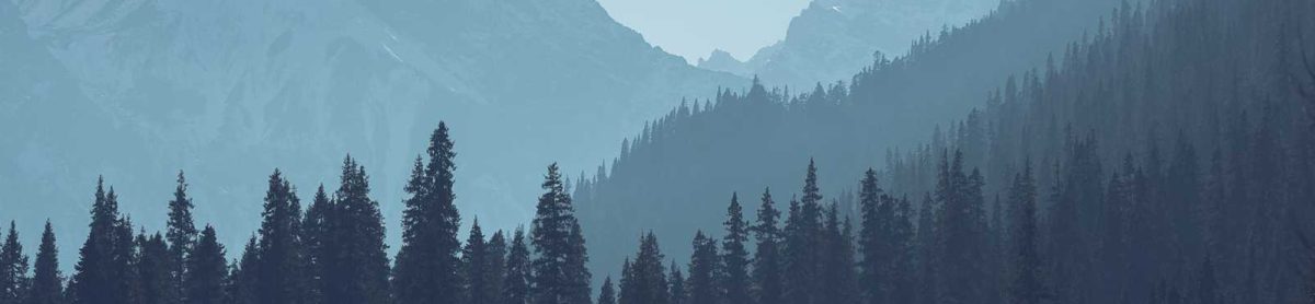 Collective Uplift Copy